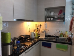 Blk 518C The Premiere @ Tampines (Tampines), HDB 5 Rooms #192836282